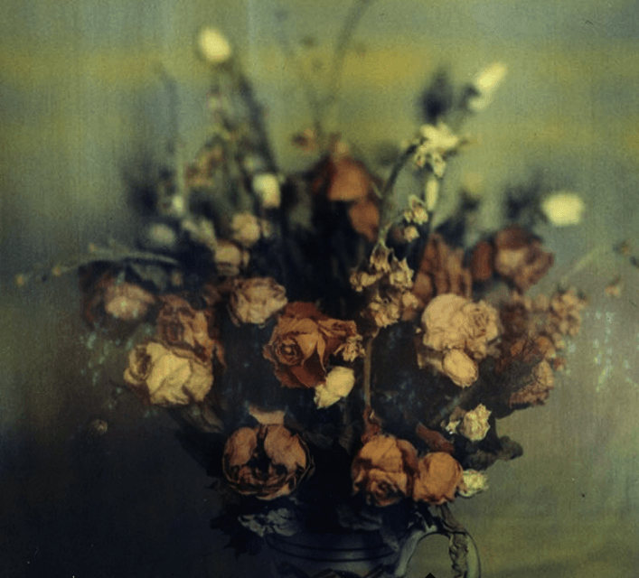 Screen Shot 2017-07-27 at 17.17.04